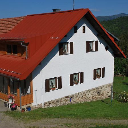 Ferienhaus "Lisa'S Haeusl" Neuschönau エクステリア 写真