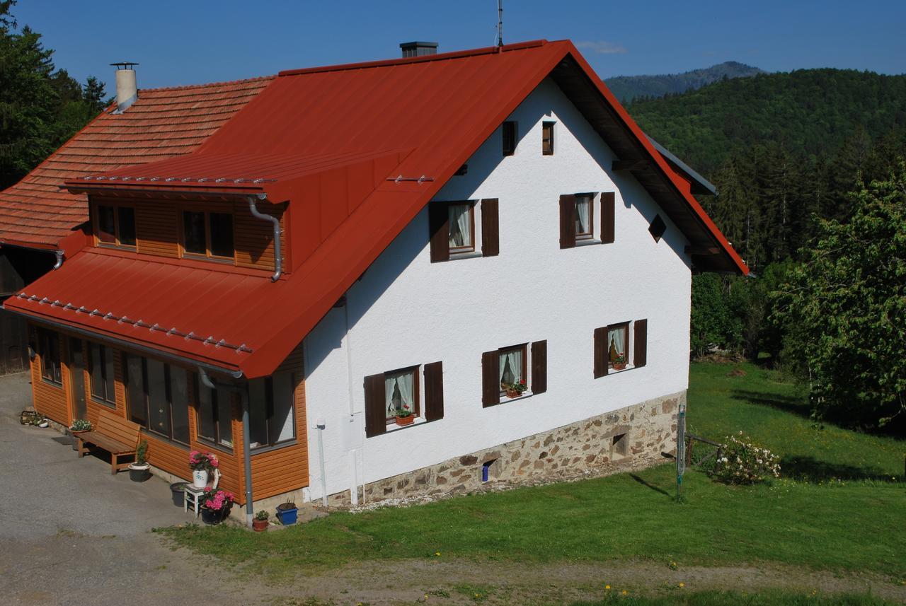 Ferienhaus "Lisa'S Haeusl" Neuschönau エクステリア 写真