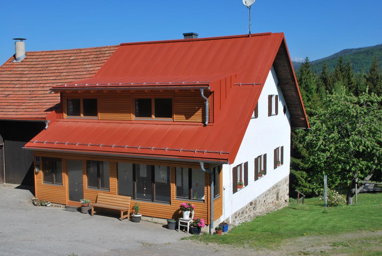 Ferienhaus "Lisa'S Haeusl" Neuschönau エクステリア 写真